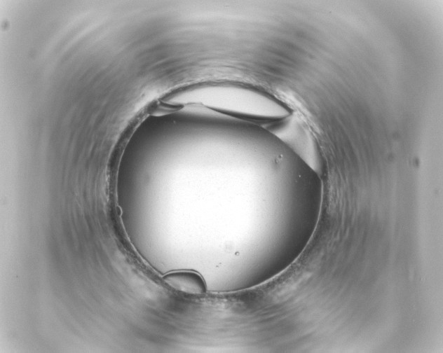 X0000088880439200706221818