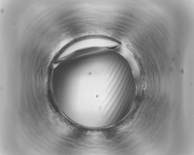 X0000088880440200706221818