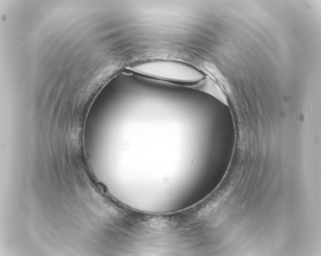 X0000088880441200706221818