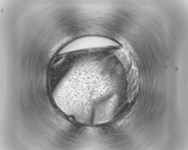 X0000088880442200706221818