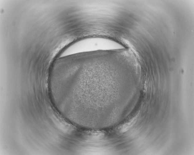 X0000088880443200706221818