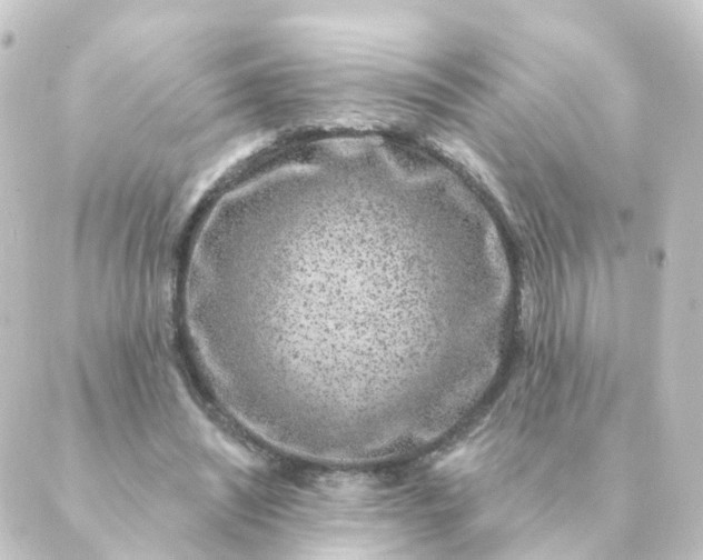 X0000088880444200706221818