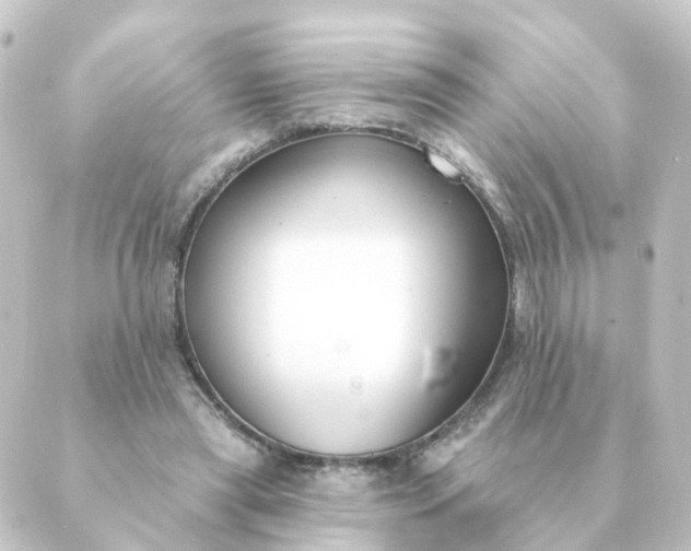 X0000088880445200706221818