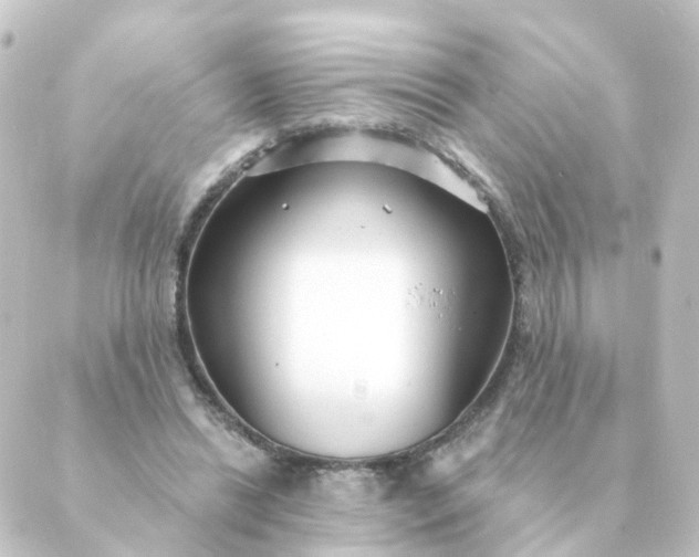 X0000088880446200706221818