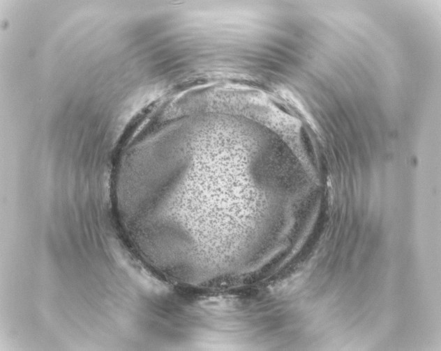 X0000088880447200706221818