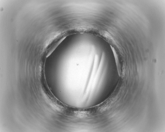 X0000088880448200706221818