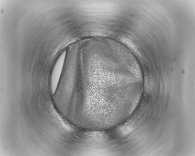 X0000088880449200706221818