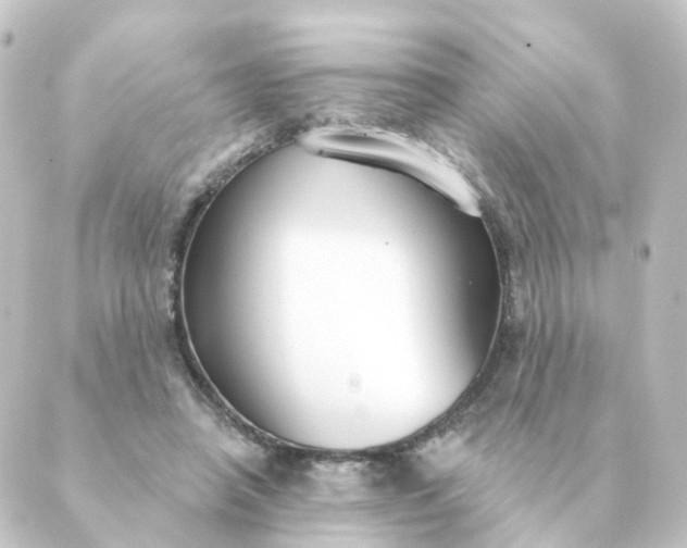 X0000088880450200706221818