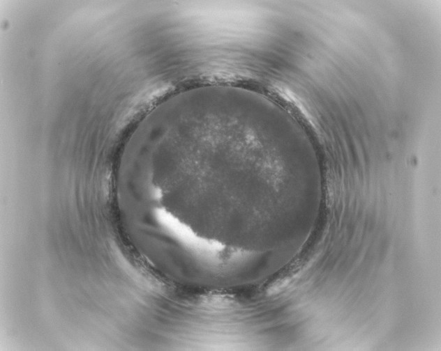 X0000088880451200706221819