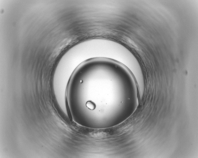 X0000088880452200706221819