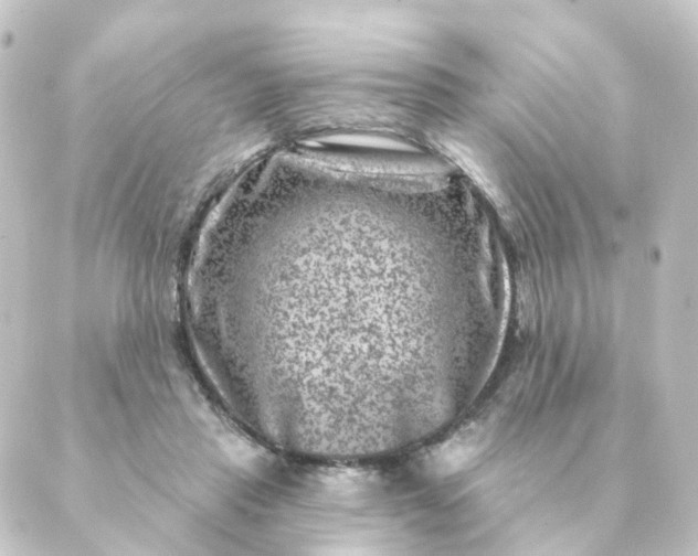 X0000088880453200706221819