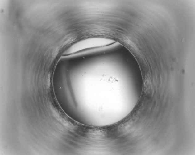 X0000088880454200706221819