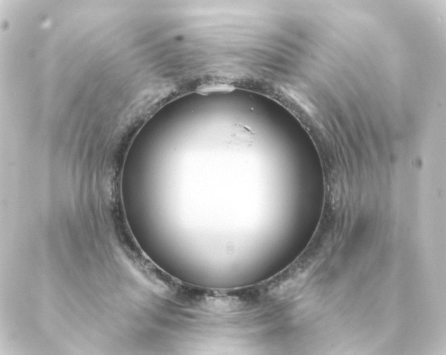 X0000088880455200706221819