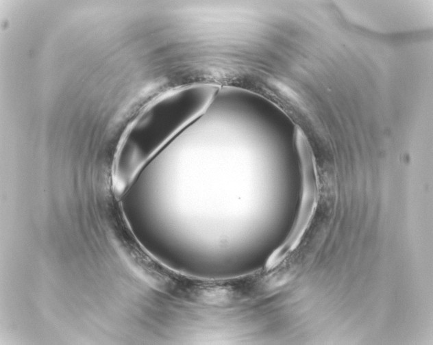 X0000088880456200706221819