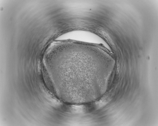 X0000088880457200706221819