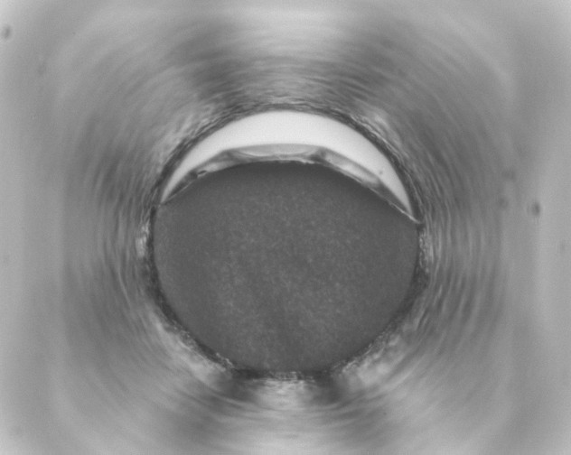 X0000088880458200706221819