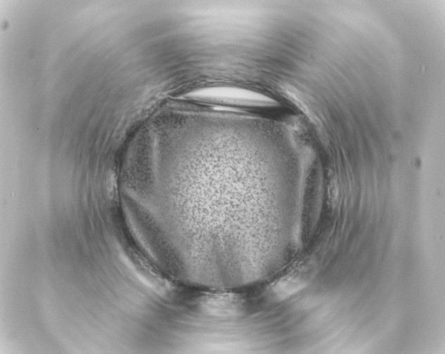 X0000088880459200706221819