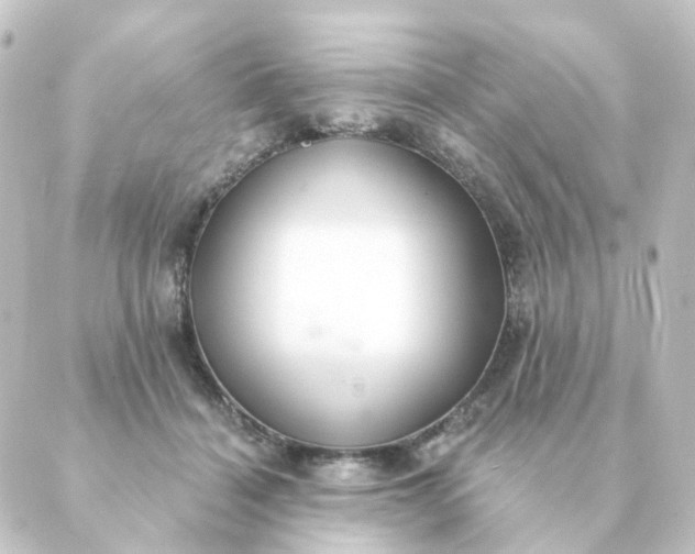 X0000088880460200706221819