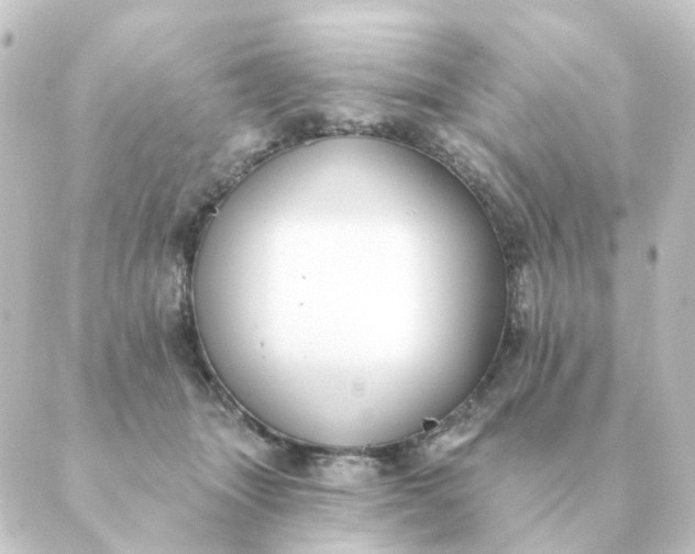 X0000088880463200706221819