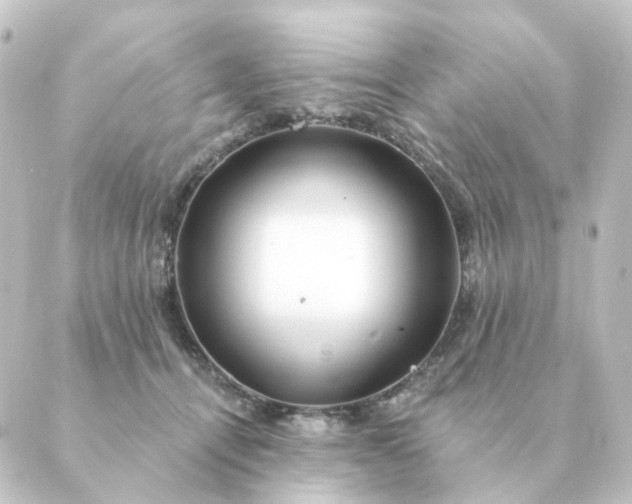 X0000088880464200706221819