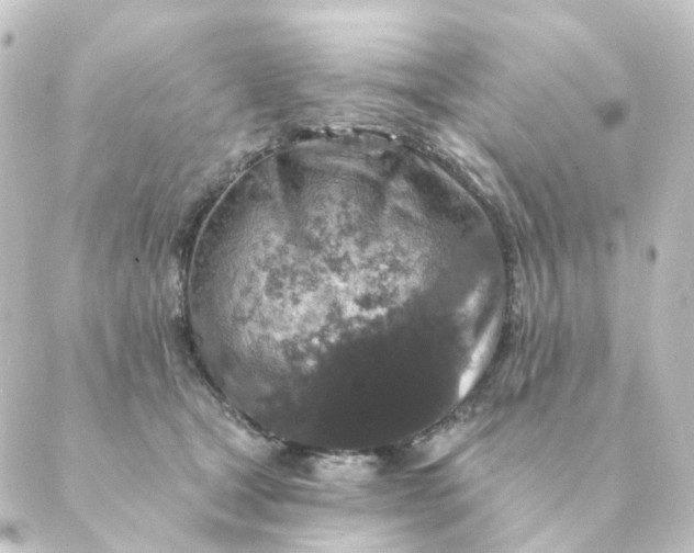 X0000088880465200706221819