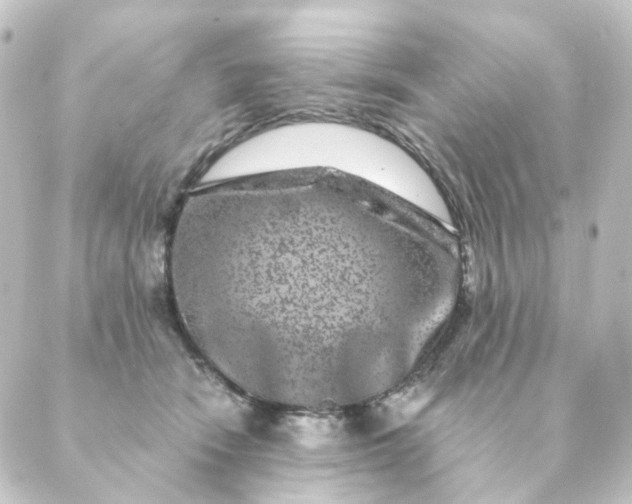 X0000088880466200706221819