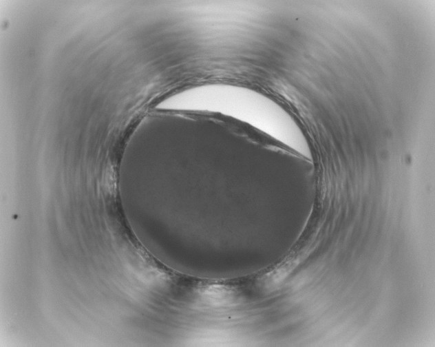 X0000088880467200706221819