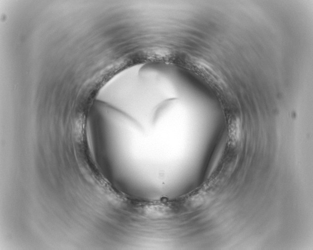 X0000088880468200706221819