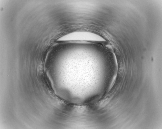 X0000088880469200706221819