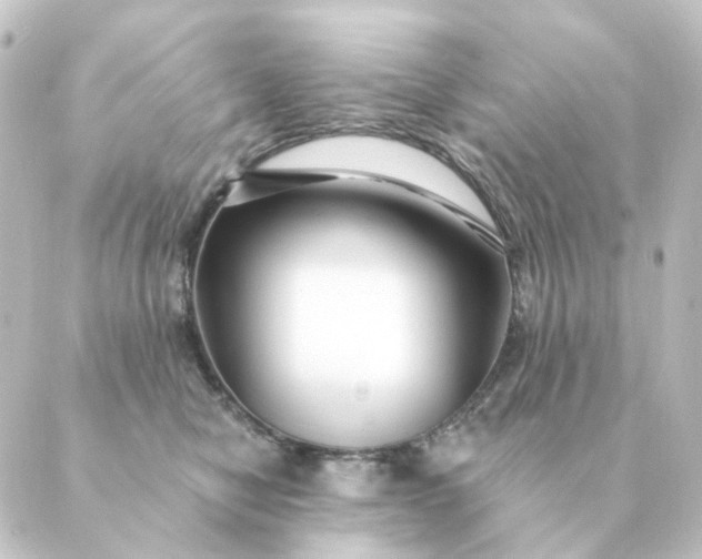 X0000088880470200706221819