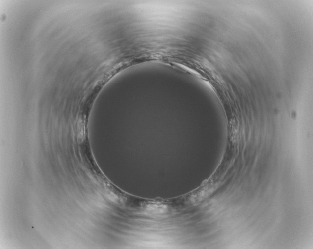 X0000088880471200706221819