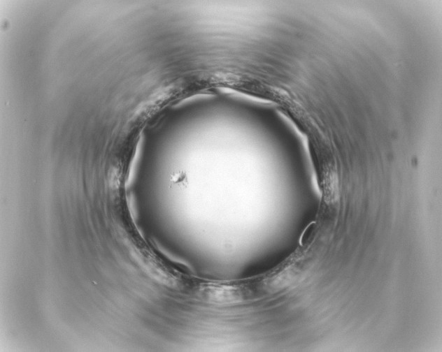 X0000088880472200706221819