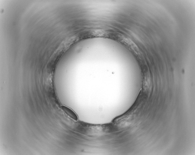 X0000088880473200706221819