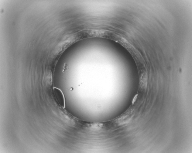 X0000088880474200706221819