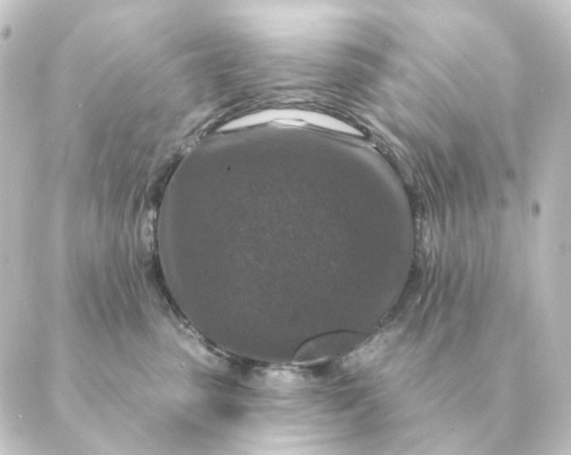 X0000088880475200706221819