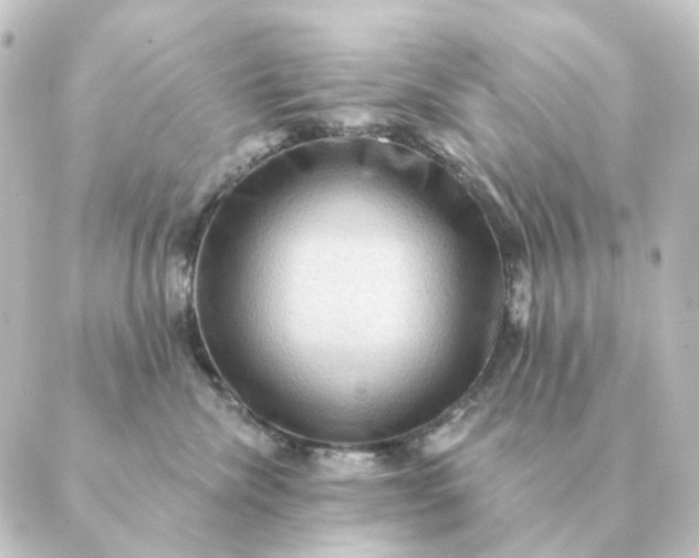 X0000088880476200706221819