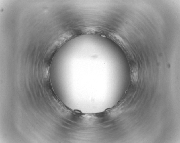 X0000088880477200706221819