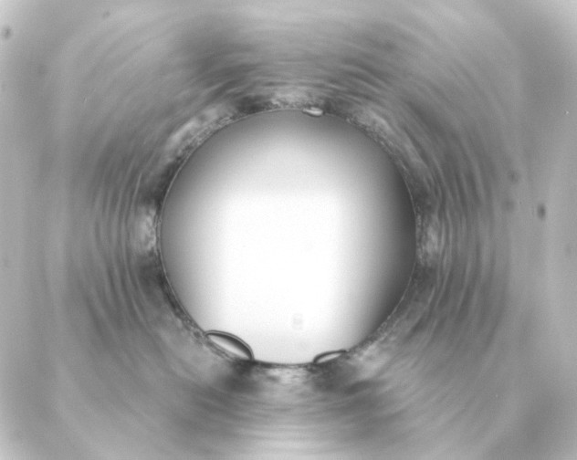 X0000088880478200706221819