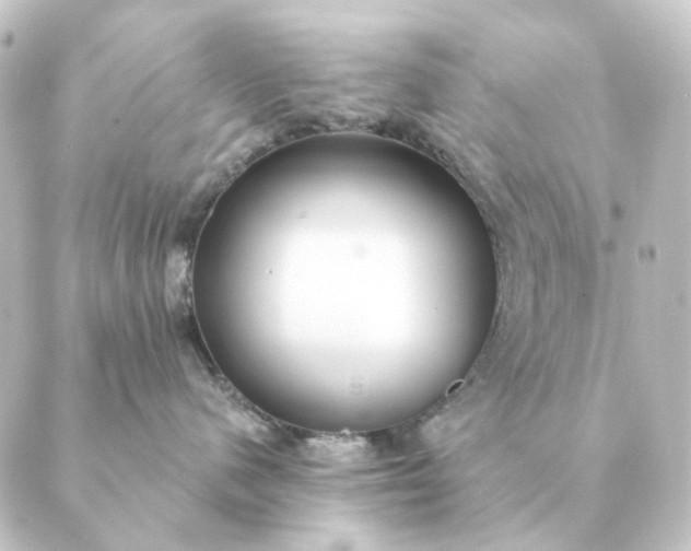 X0000088880480200706221819