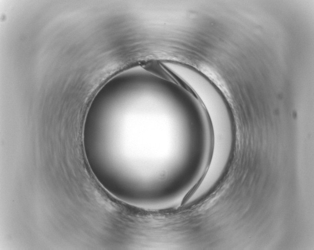 X0000088880481200706221818