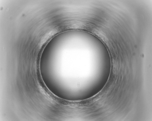 X0000088880482200706221818