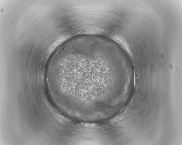 X0000088880483200706221818