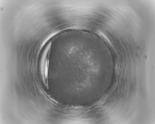 X0000088880484200706221818