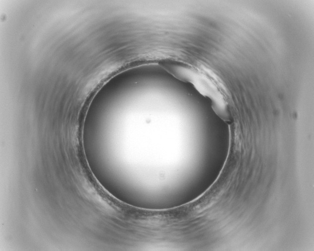 X0000088880485200706221818