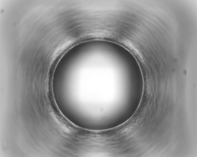 X0000088880486200706221818