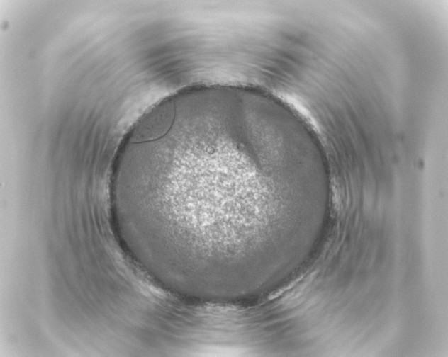 X0000088880487200706221818