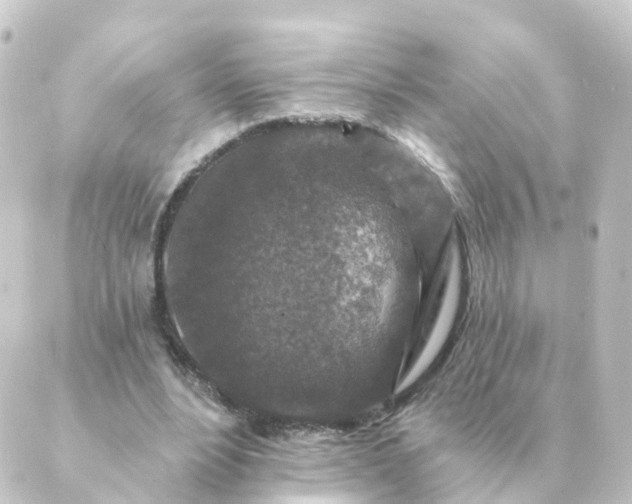 X0000088880488200706221818