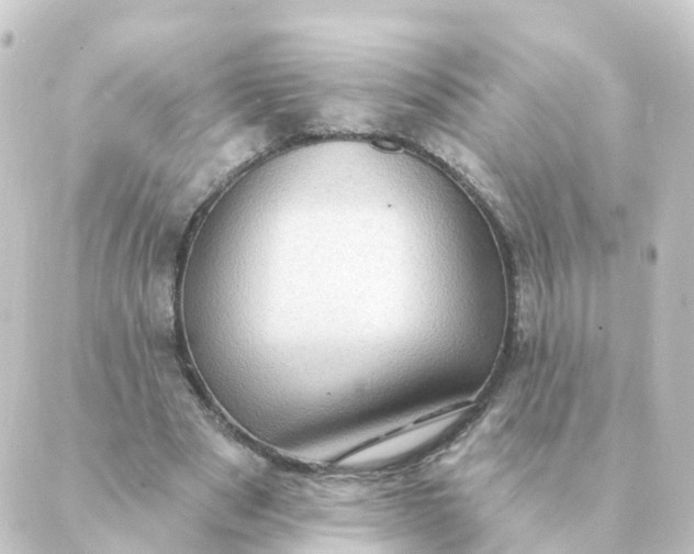 X0000088880489200706221818