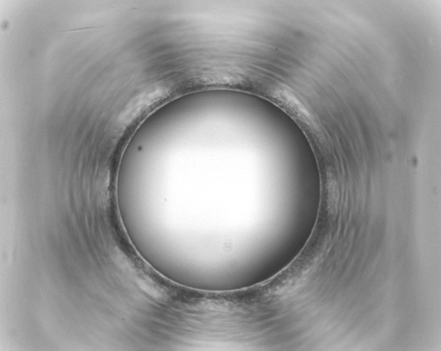 X0000088880490200706221818