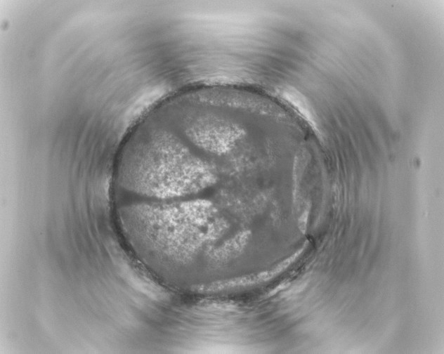 X0000088880491200706221818